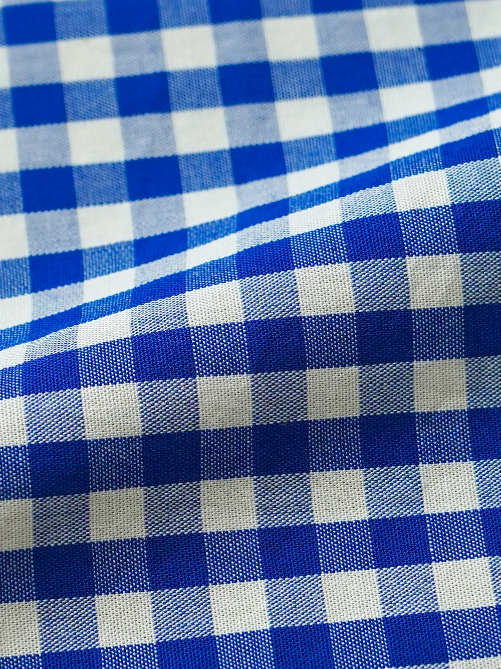 Pure Cotton, Blue and White Checked Essential Shirt