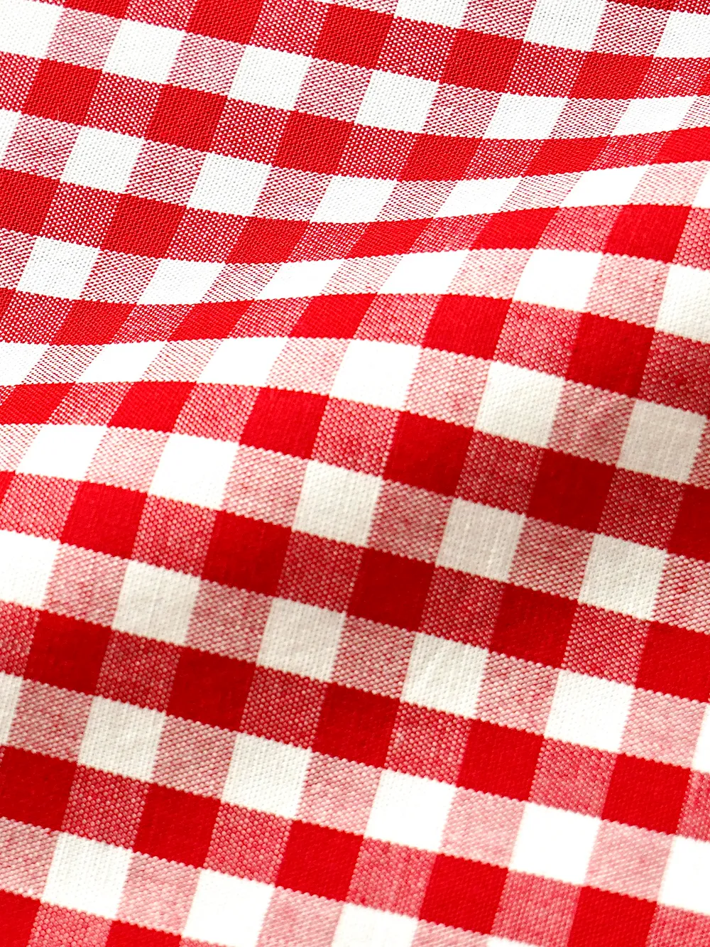 Pure  Cotton, Red and White Checked Essential Shirt